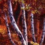 Detail Image, close up of the trees and leaves - art by Geoff Taylor